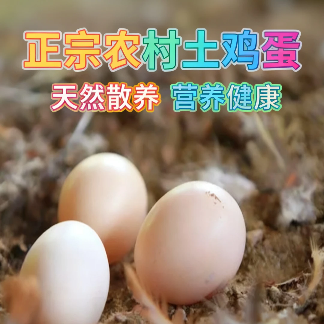 乡村农家自养土鸡蛋新鲜农家散养柴鸡蛋