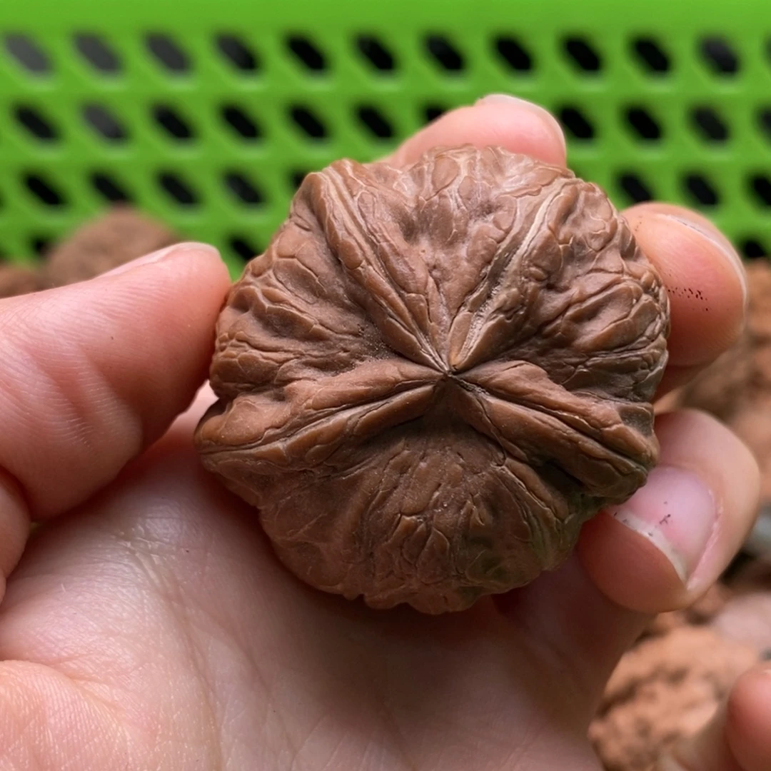 旭***日核桃定制商品不退不换