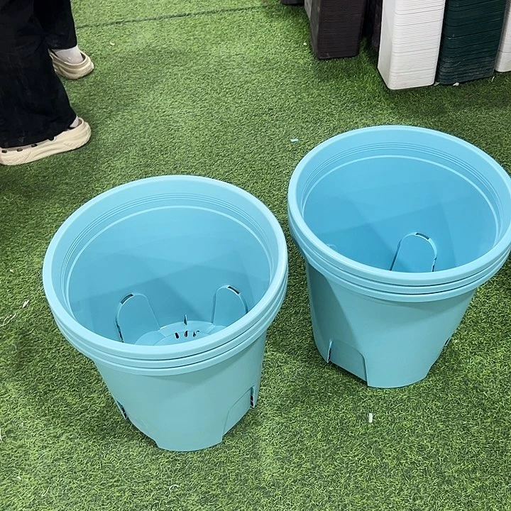 圆形控根口37高34.5蓝色无托3只