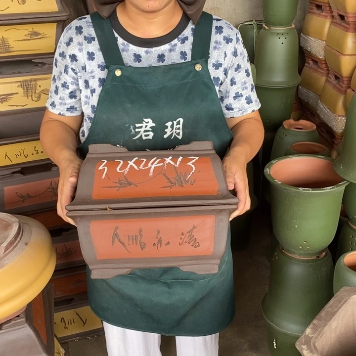 紫砂花盆盆栽花卉苗木种植