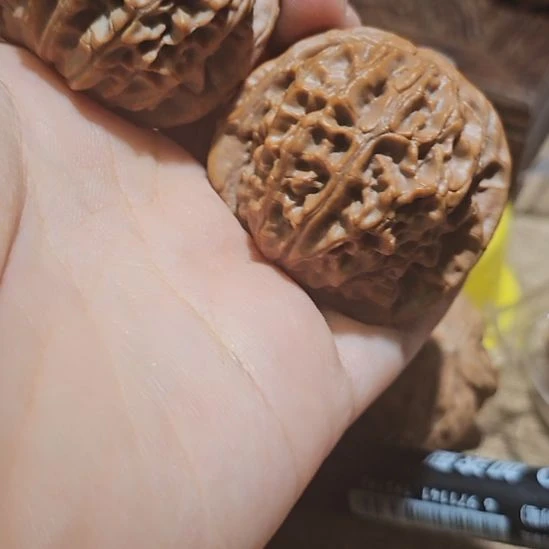 文玩核桃吊坠42血麒麟