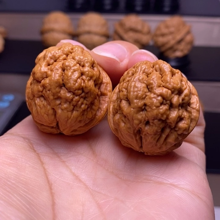 文玩核桃把件血舍利5