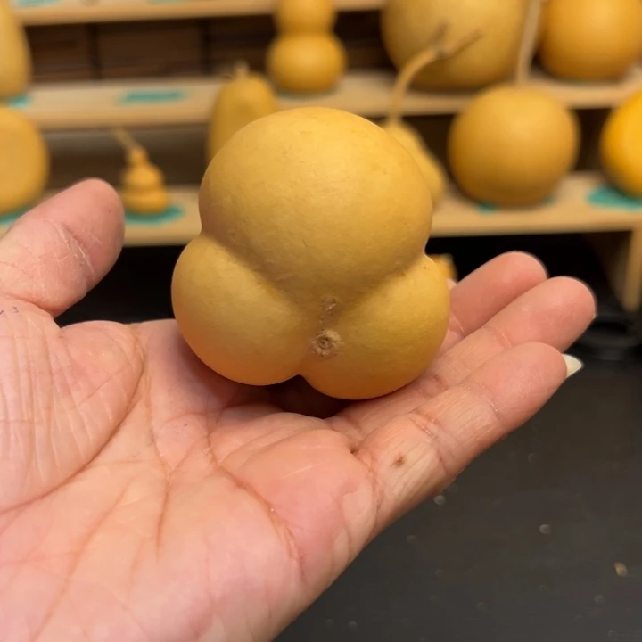 协****生葫芦葫芦葫芦葫芦葫芦葫芦