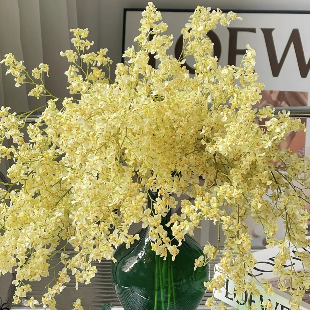 金色梦香兰 2支花剑（2棵）精致爆花带香味耐寒好养 云南鲜花绿植