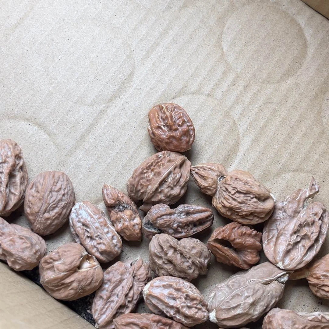 吊坠文玩核桃瑕疵漏点39