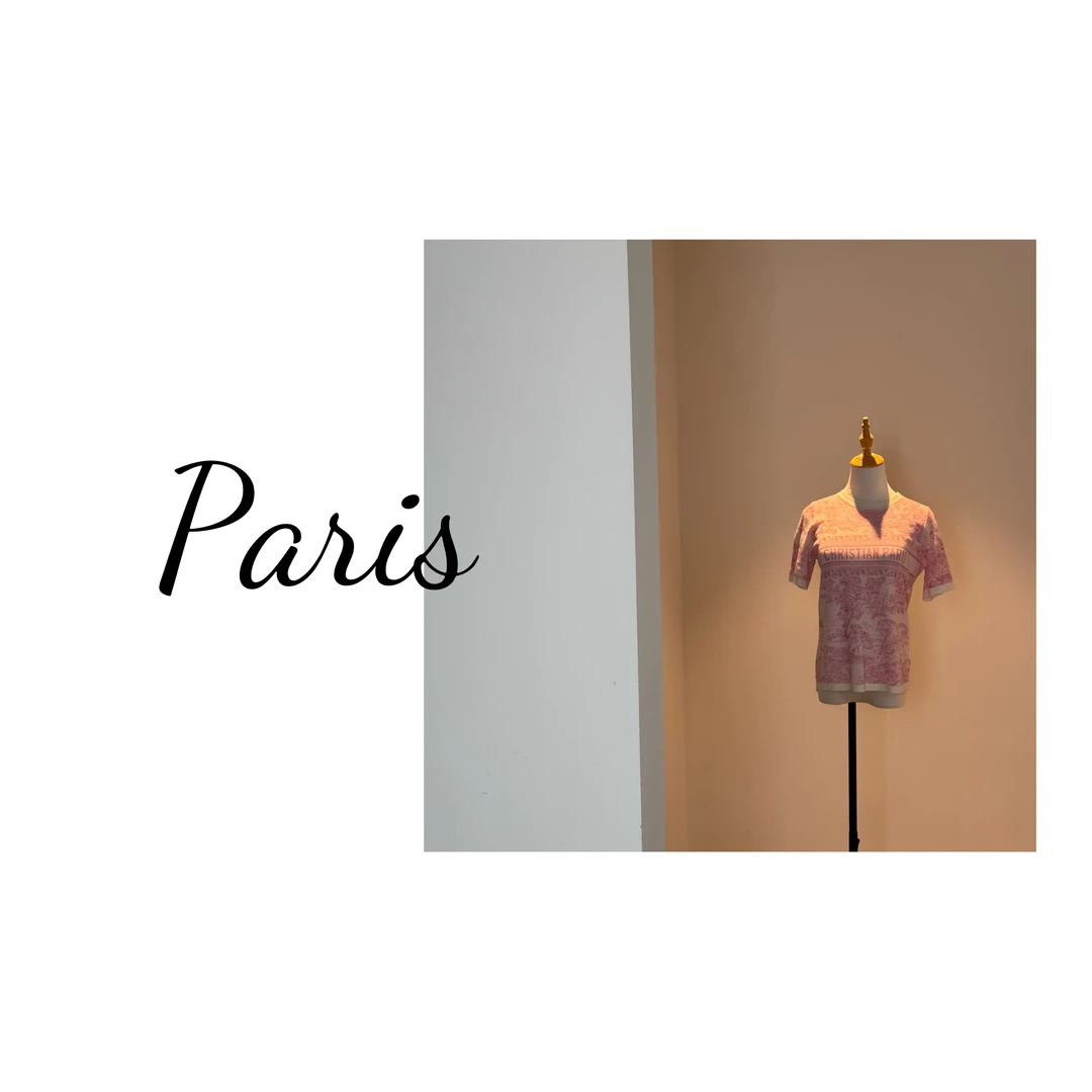 【5916】25年新款DD新款水墨画T恤E41