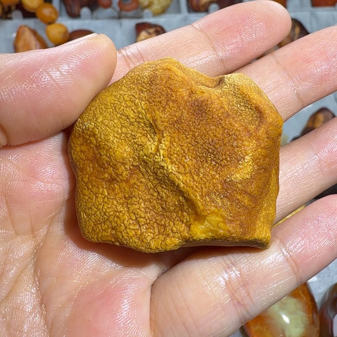 定制琥珀未镶嵌白蜡原石全皮