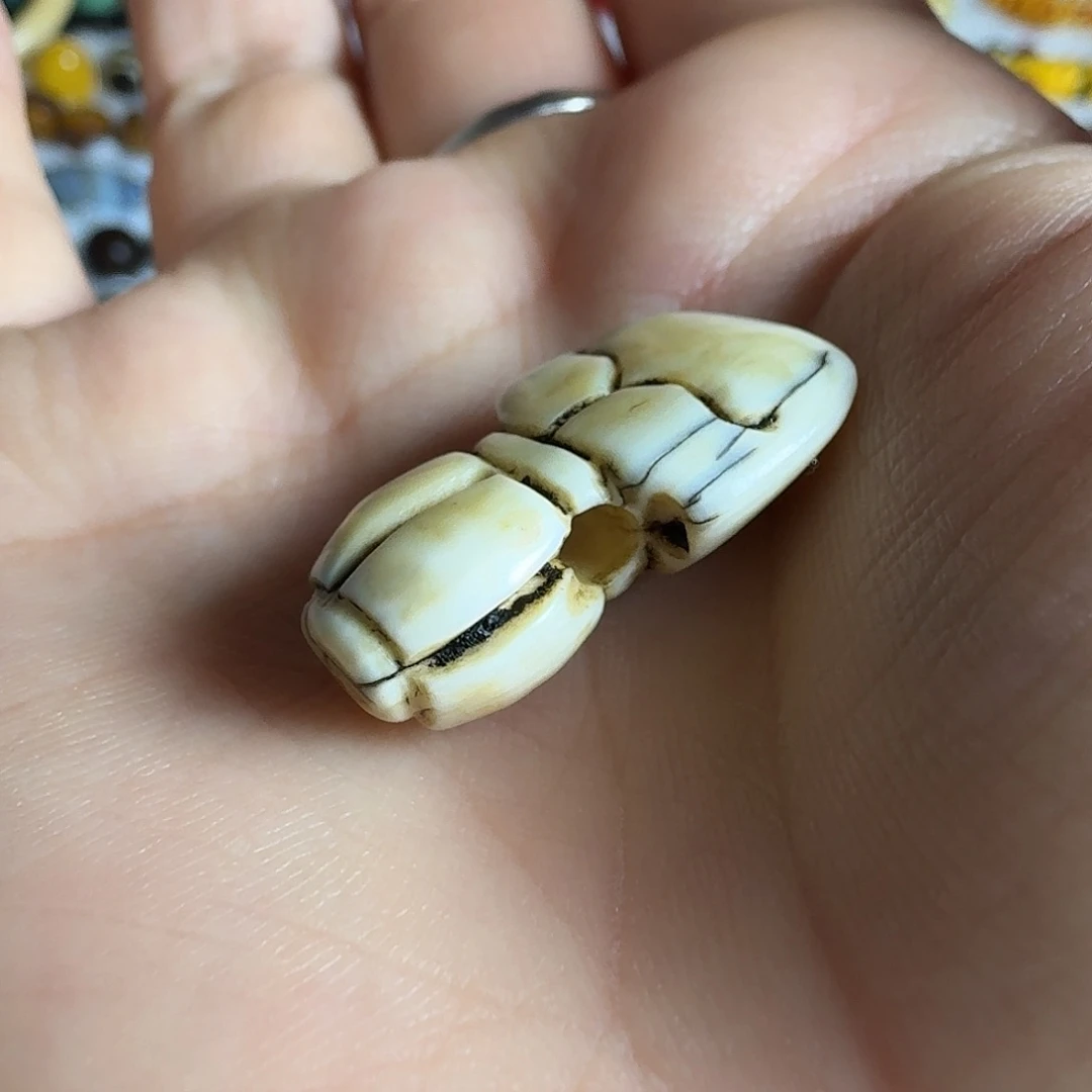 扎西德勒扎西德勒