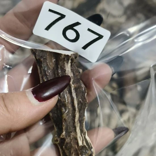 麦***师鹿角鹿角鹿角鹿角鹿角鹿角