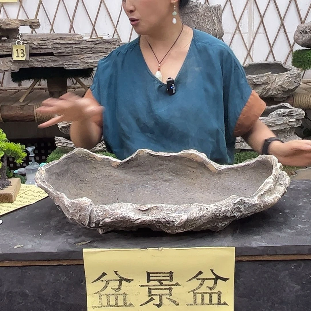 盆景盆盆景盆P2-012