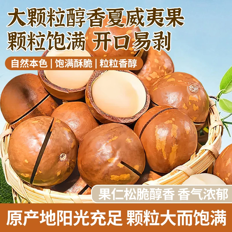 2024新货夏威夷果饱满大颗粒250g/袋500g奶香干果零食坚果