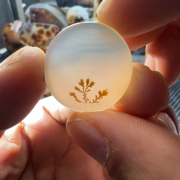 未镶嵌玛瑙/玉髓珠宝奇石