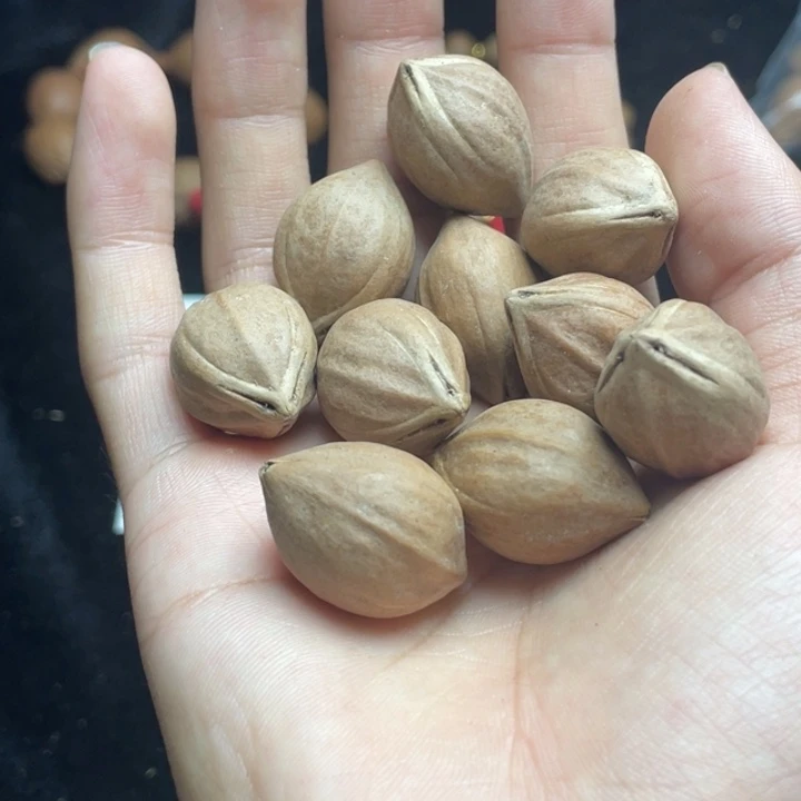 手串/手链橄榄核1.8