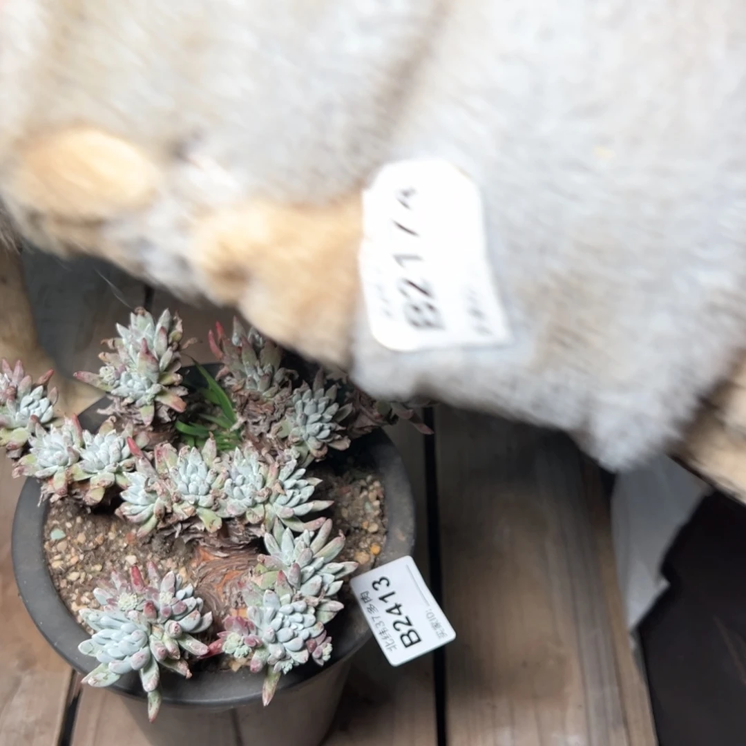 M**闵2413哈哈哈哈哈哈哈哈