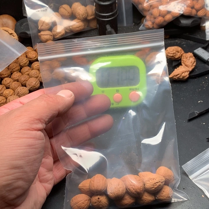 桃核吊坠小*虫野生精品小核桃散籽