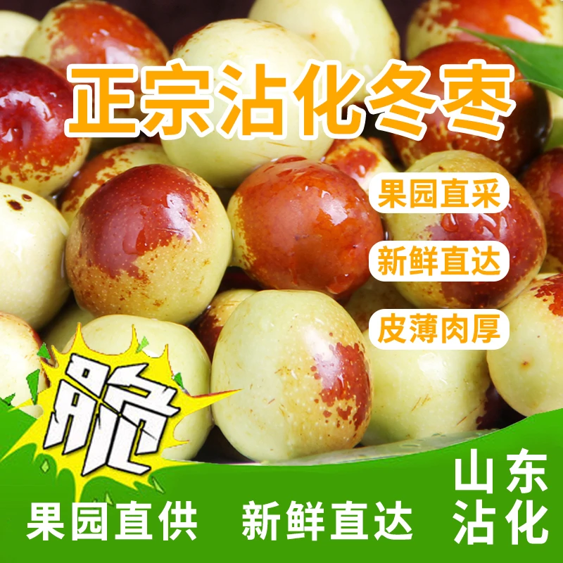 山东沾化冰糖冬枣果园现摘现发脆甜孕妇小孩当季新鲜