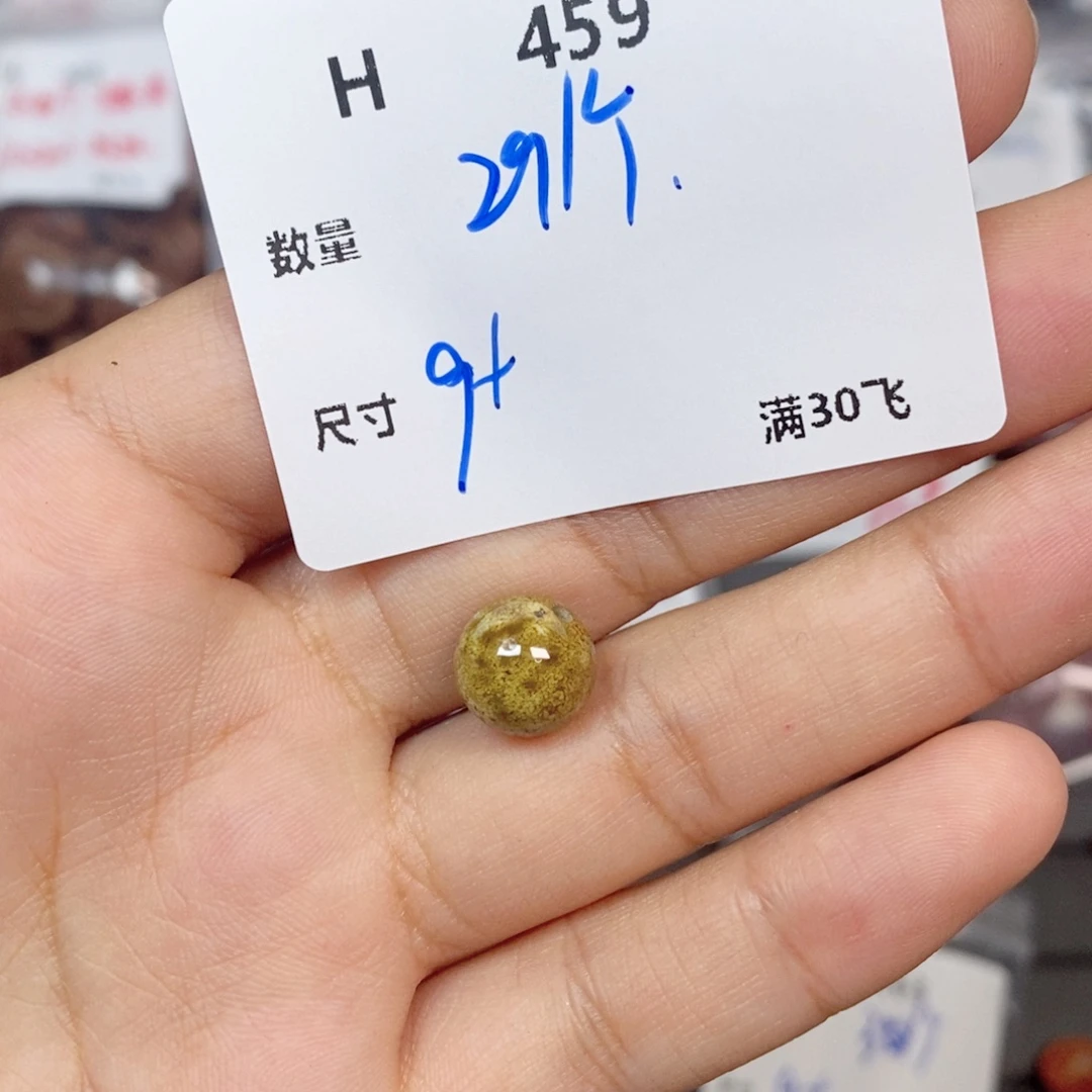 小***z颈饰银S925镶嵌水晶H459