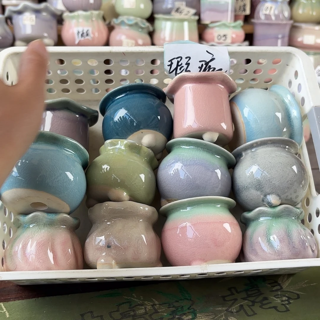 芝***芝量货/口高深浅搭配发12个瑕疵