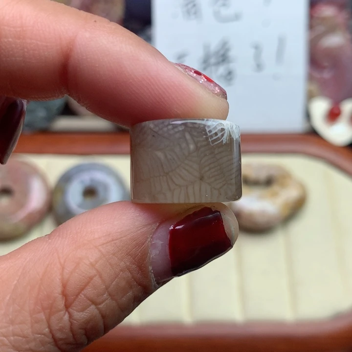 硅化珊瑚（珊瑚玉）颈饰未镶嵌