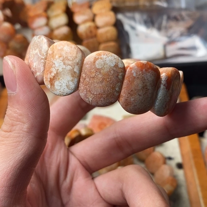 大***大颈饰未镶嵌硅化珊瑚（珊瑚玉）