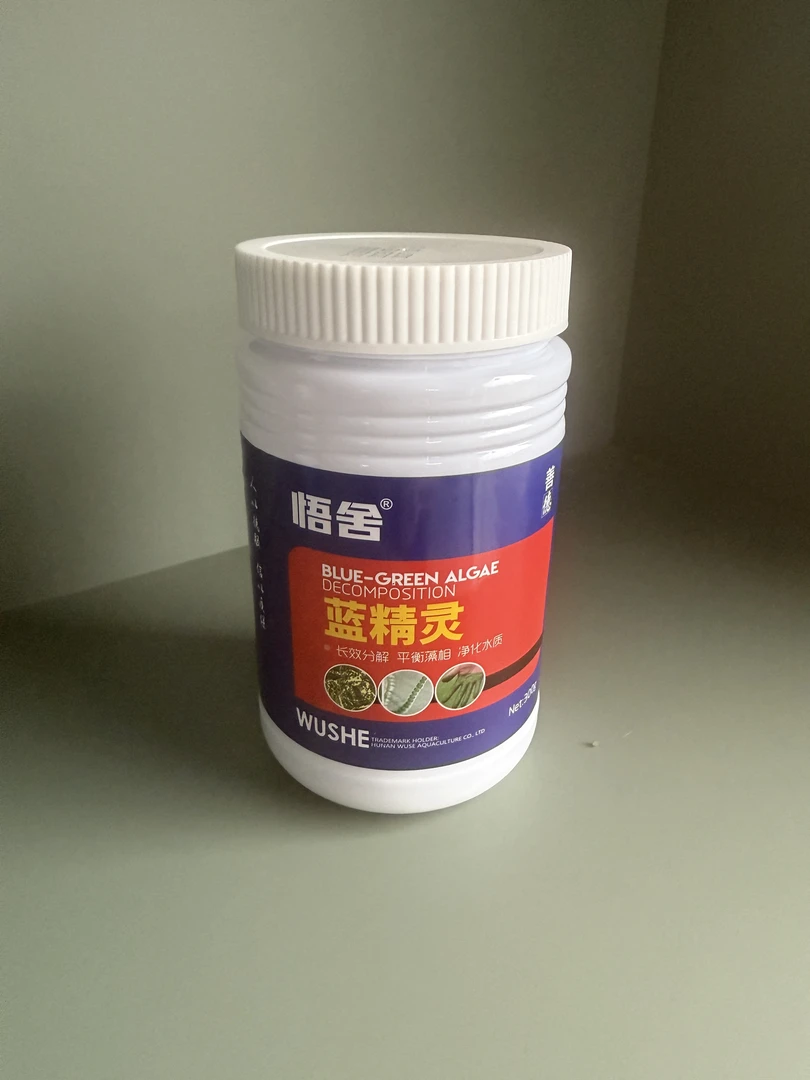 处理蓝藻老黑水老绿水蓝精灵水质处理剂处理蓝藻隐藻裸藻颤藻等