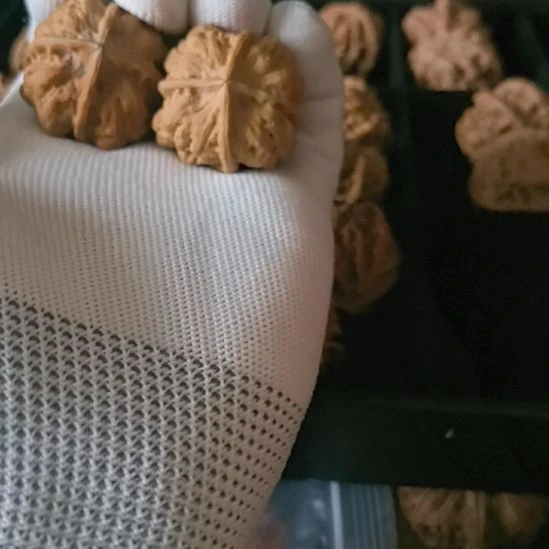 香***呢龙脊菩提吊坠啊啊啊云铁4棱4