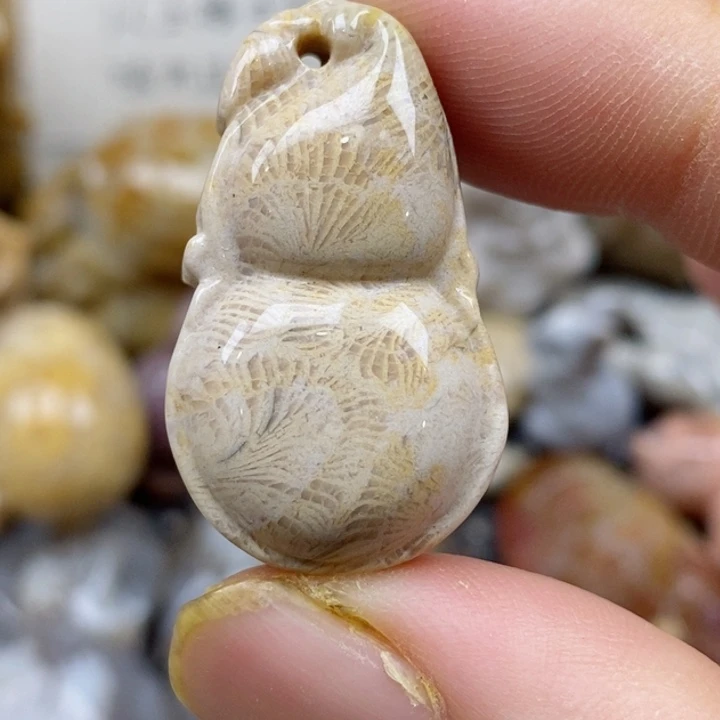 颈饰未镶嵌硅化珊瑚（珊瑚玉）小
