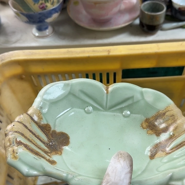 碟开播啦….开播啦