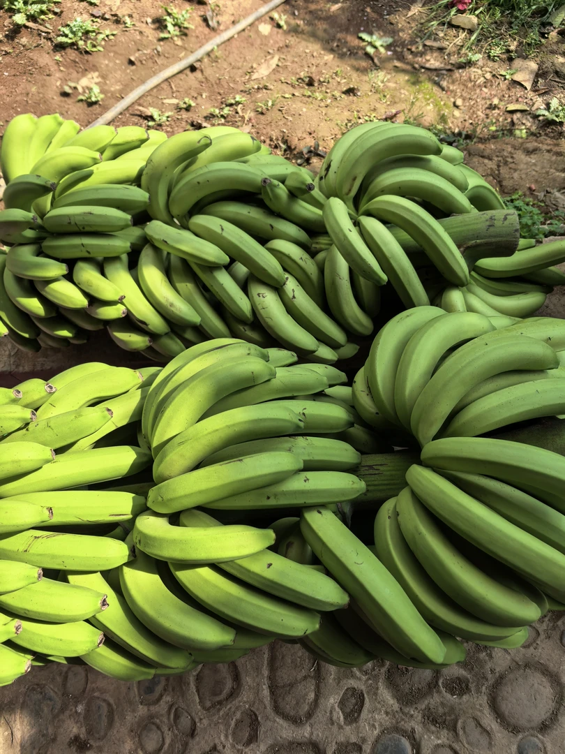 （土特产/香蕉）农产品5斤