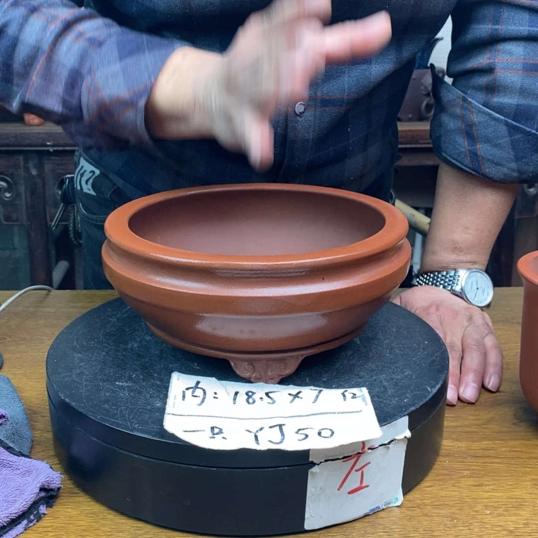 红陶货号一只YJ50