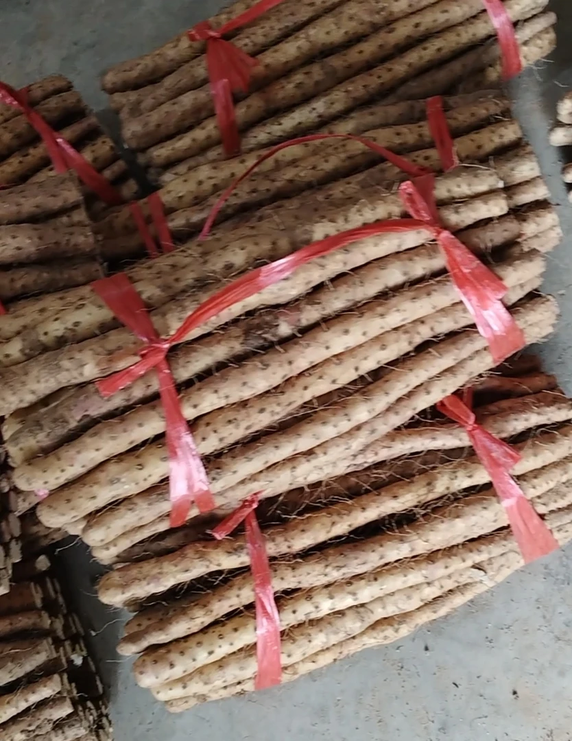 铁棍山药垆土山药正宗软糯香甜新鲜营养高适合蒸煮煲汤宝宝辅食