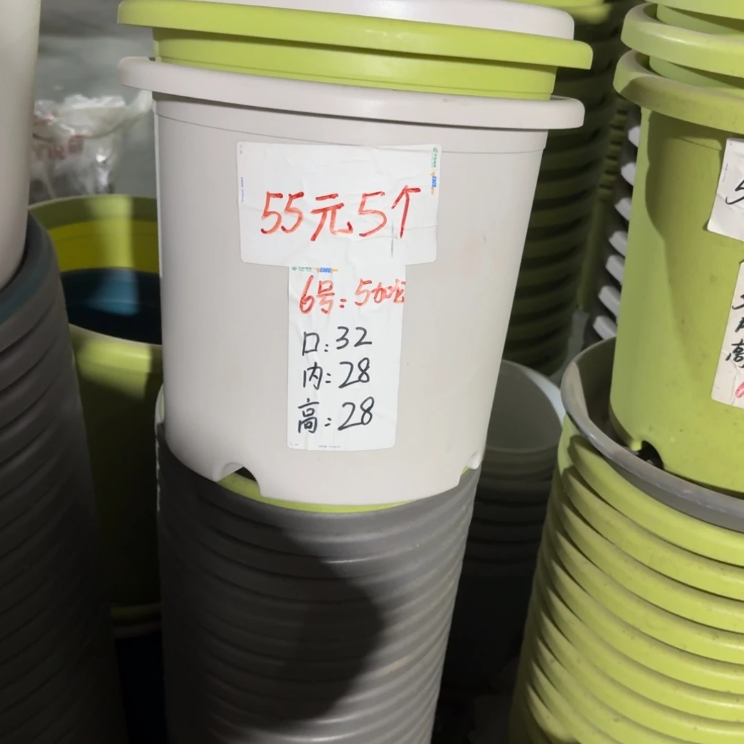 四季6#口径32无拖果绿5个