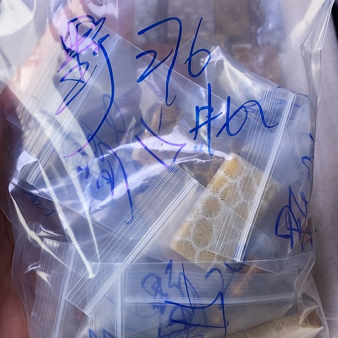 查罗石合金颈饰野****数