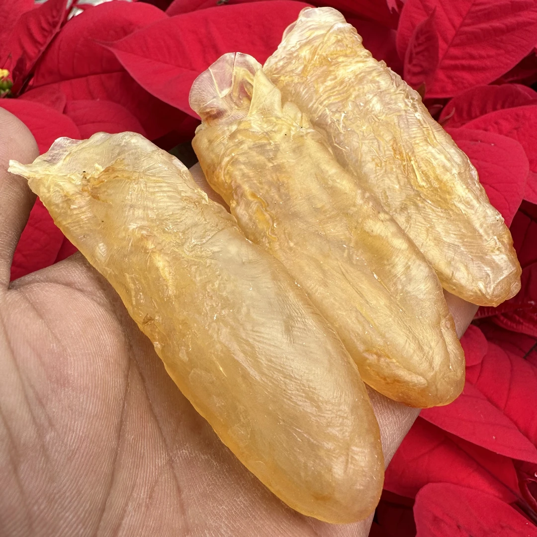 25头珍珠胶250-500克 鱼胶炖牛奶炖汤炖鸡食用