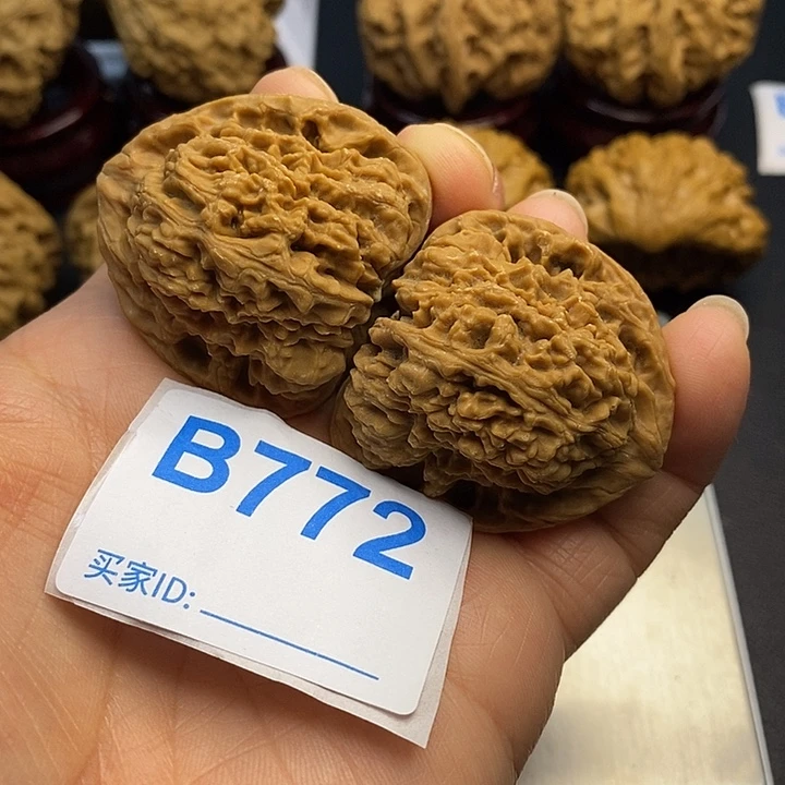 核桃南疆3.9，00000