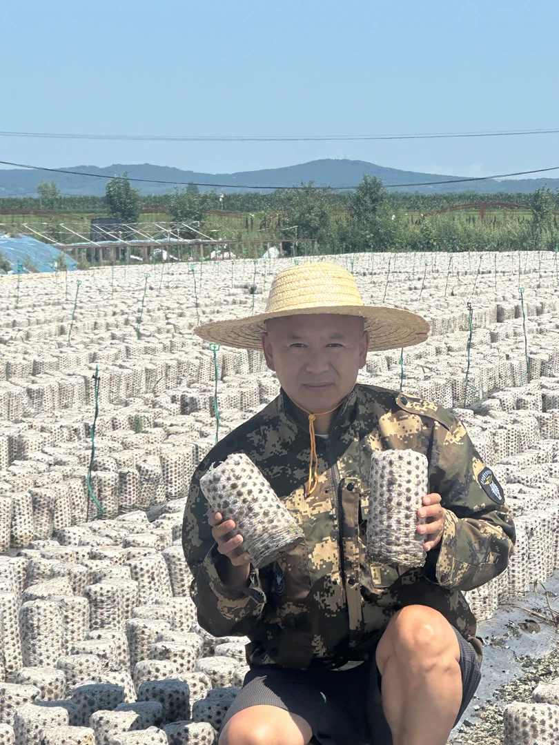（小彭理发师，助农黑木耳）2025头茬黑木耳黑龙江东宁产地直采