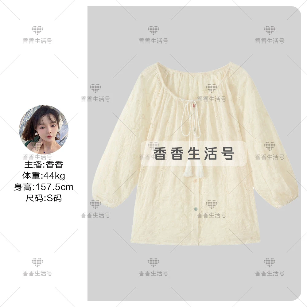 高级感宽松绣花衬衫上衣女设计感复古灯笼袖衬衣