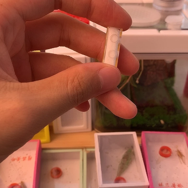 两厘米加湿器一个