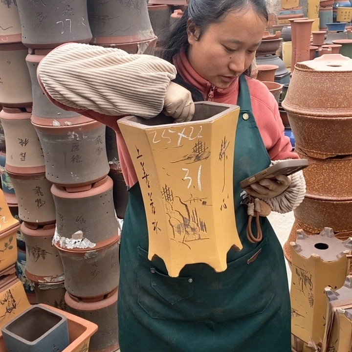 紫砂花盆盆栽花卉苗木种植