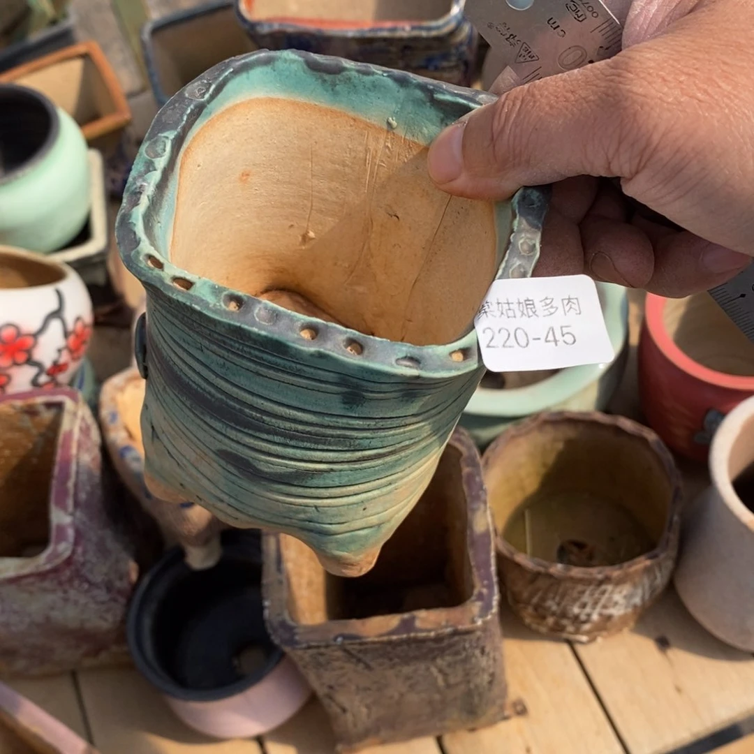 红陶爱**猫45号多肉盆一个呀