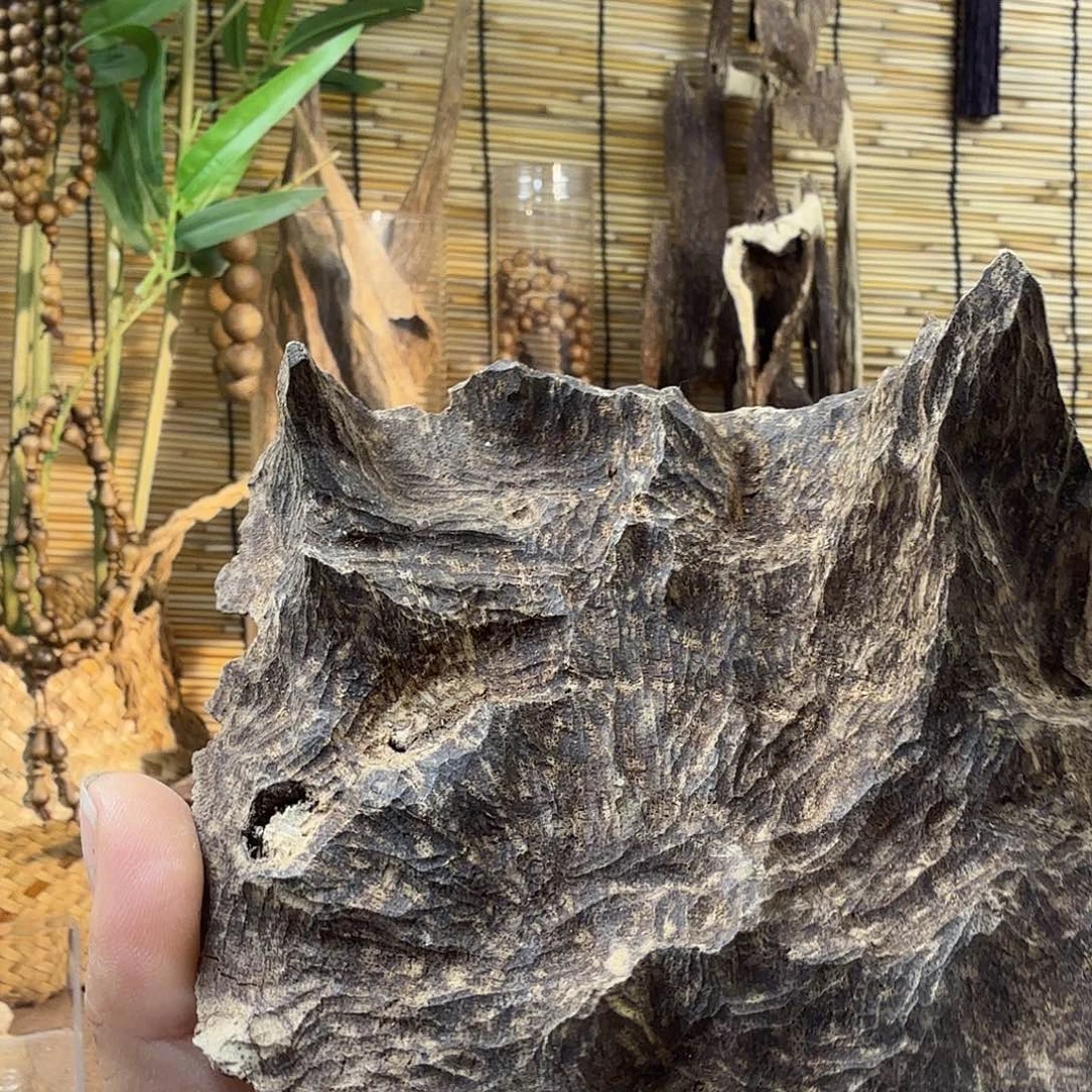 沉香沉香碎屑沉香老顶43g
