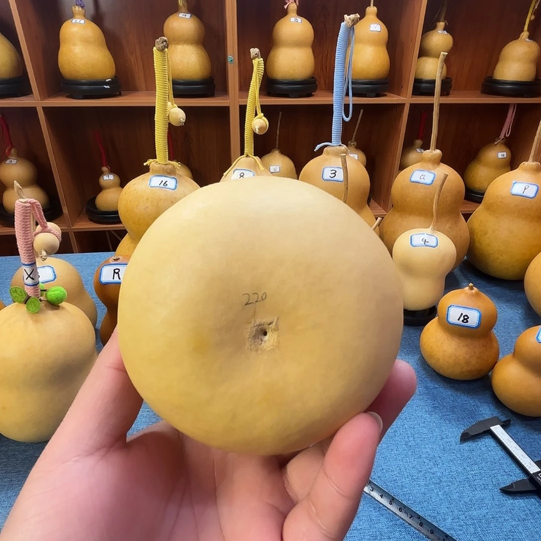 ˗****葫芦葫芦葫芦葫芦