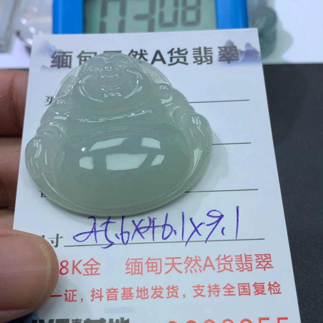 【闪购商品】翡翠颈饰未镶嵌老*888888888