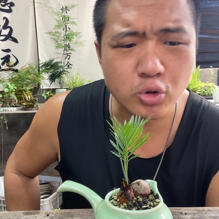 进***子无花朵退款拉黑拉黑98