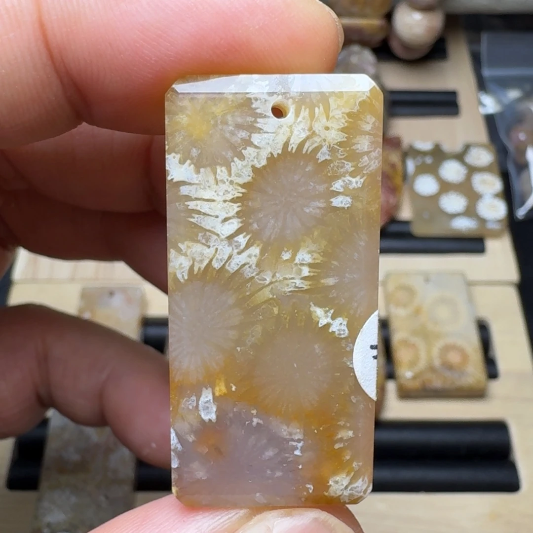 硅化珊瑚（珊瑚玉）未镶嵌纯天然色有机玉石保真色