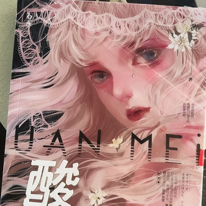 酸梅全新正版一本全带周边