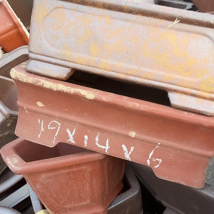 紫砂和花都区将以每年举办十