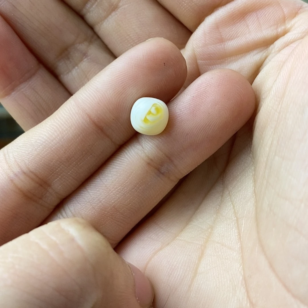 蜜蜡珠宝奇石未镶嵌蜜蜡单珠