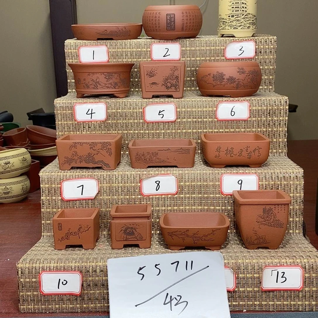 紫砂花盆在看电视