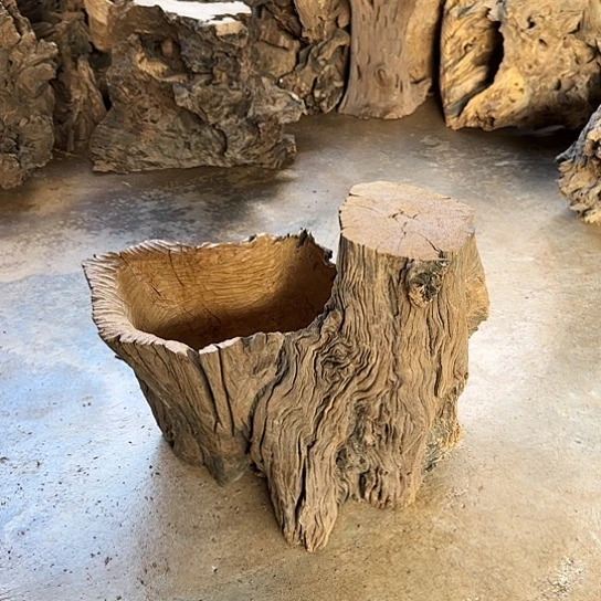 人**意紫砂噜啦啦啦啦啦啦